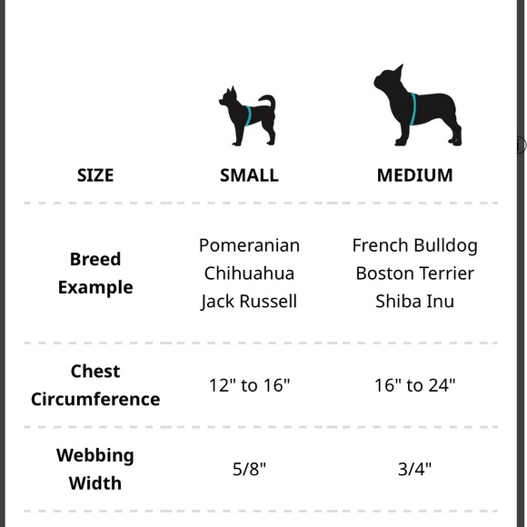 Woof concept harness - Picture 2 of 2